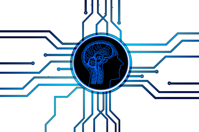 Inteligência da Informação
